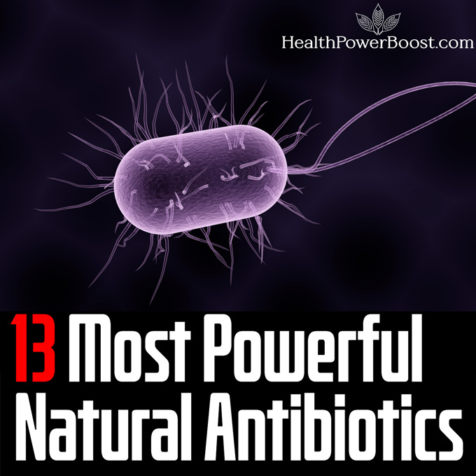 13 Most Powerful Natural Antibiotics