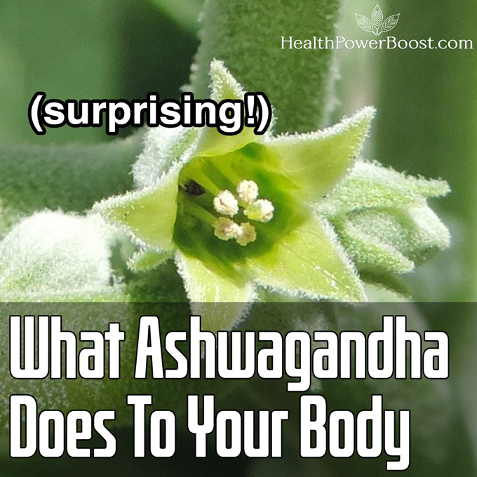 What Ashwagandha Does To Your Body
