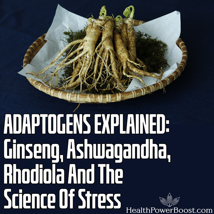 ADAPTOGENS EXPLAINED - Ginseng, Ashwagandha, Rhodiola And The Science Of Stress