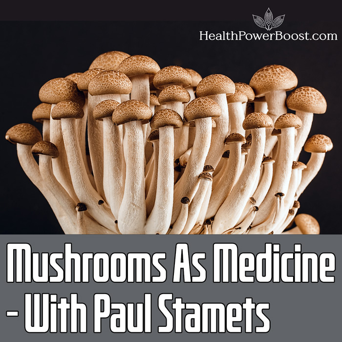 Mushrooms As Medicine With Paul Stamets