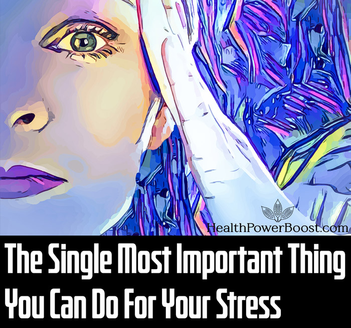 The Single Most Important Thing You Can Do For Your Stress