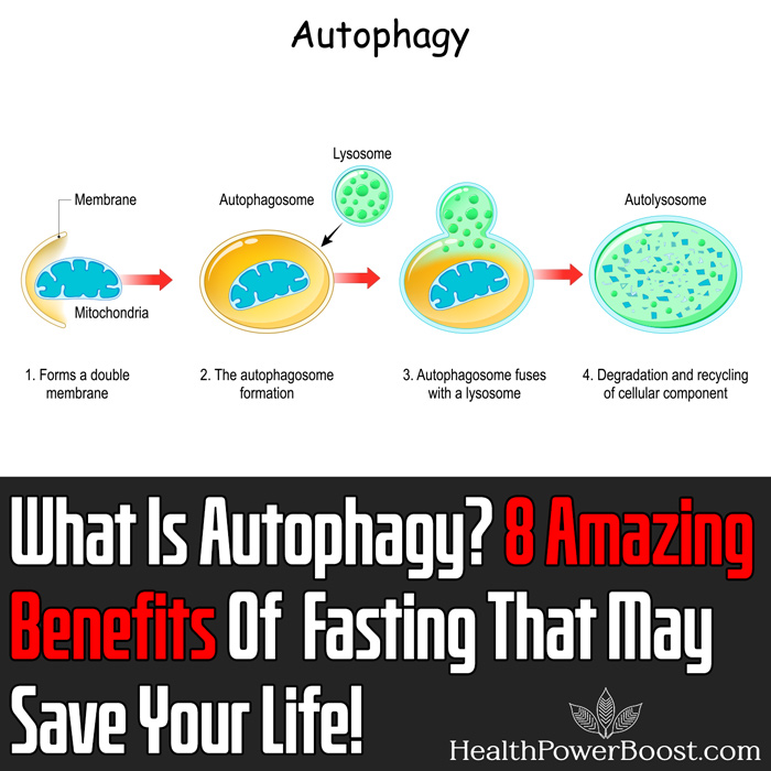 What Is Autophagy - 8 Amazing Benefits Of Fasting That May Save Your Life